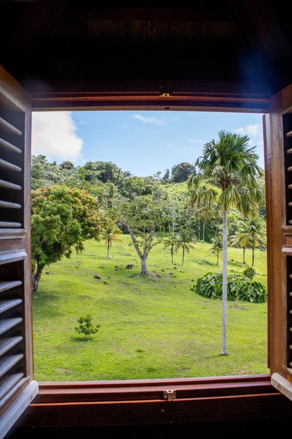 Jardin Malanga Hotel Basse-Terre Exterior foto