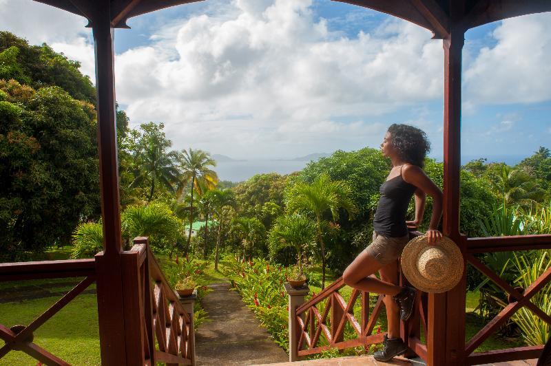 Jardin Malanga Hotel Basse-Terre Exterior foto