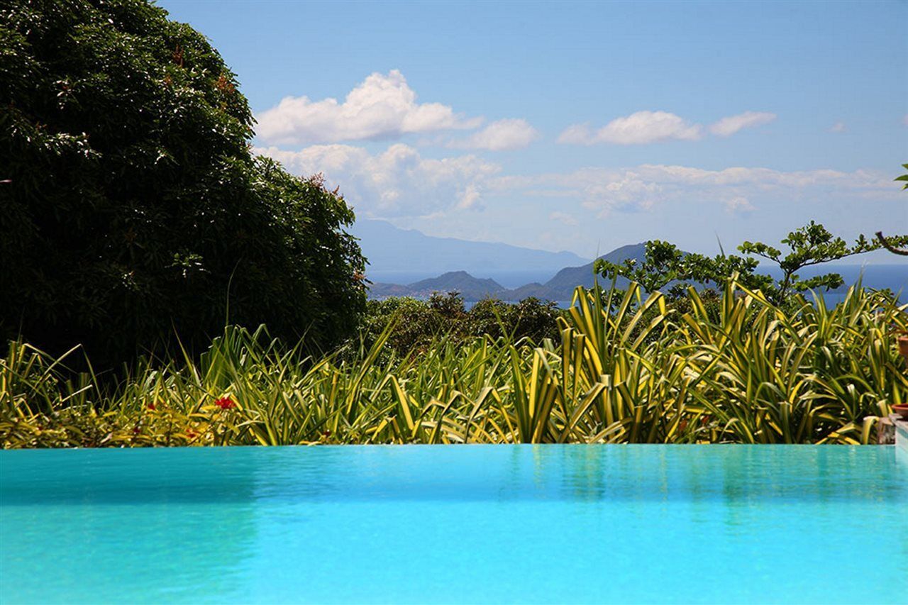 Jardin Malanga Hotel Basse-Terre Exterior foto